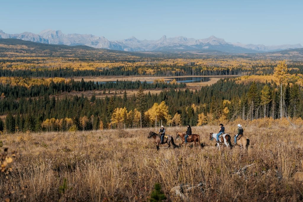 Saddle Peaks Trail Rides Cochrane Alberta